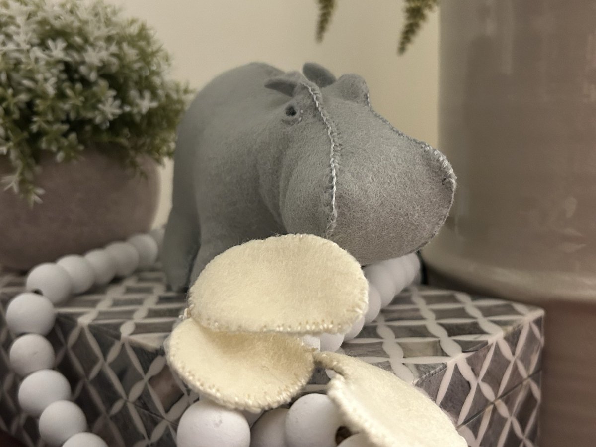 Jan 🇨🇦 Scamper tweet media