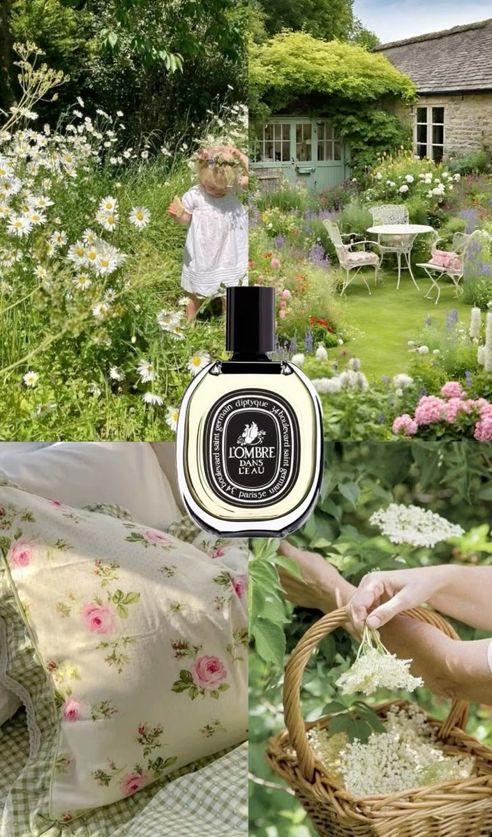 Abdullah Alghanim tweet media