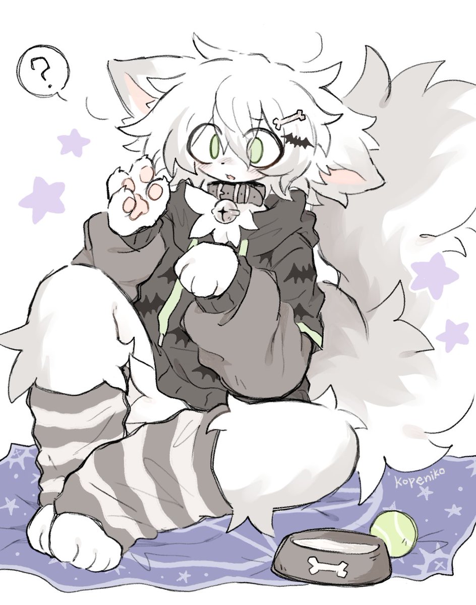 kopeniko🧸 tweet media