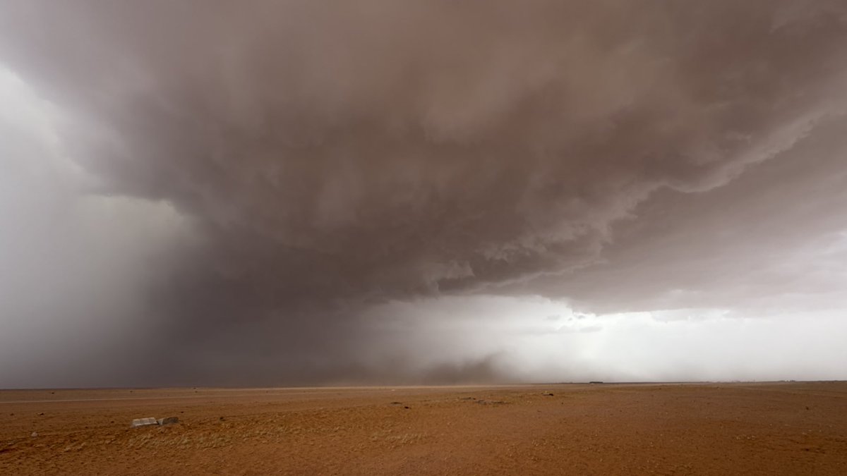 ابراهيم الفوزان tweet media