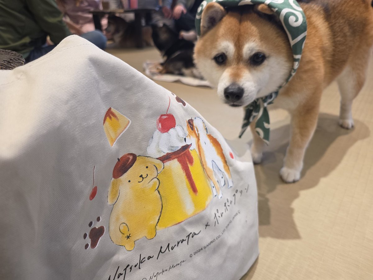 Doogs 𒉭 tweet media