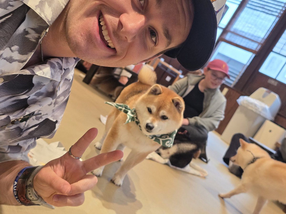 Doogs 𒉭 tweet media