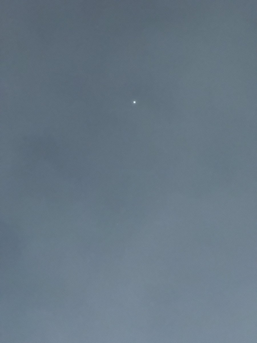 さゆり✦.* tweet media