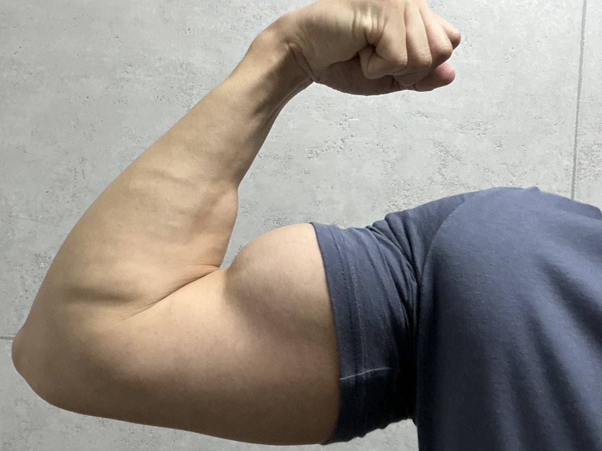 桜蒔（はるま） tweet media