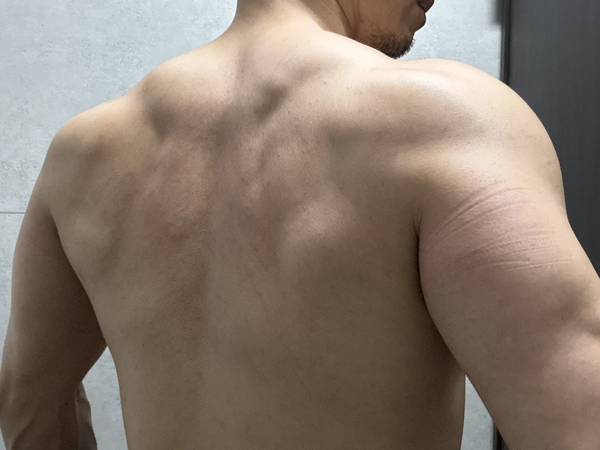 桜蒔（はるま） tweet media