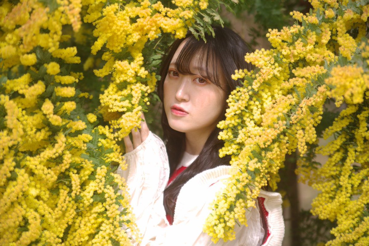amo_air1201's tweet photo. おやすみ世界🌏💛

.
.

📸がんぽさん@easterngumpo https://t.co/CBFceylTDr