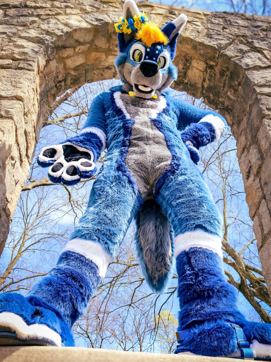 𝙑𝙚𝙭𝙩𝙧𝙪𝙢 💙 tweet media