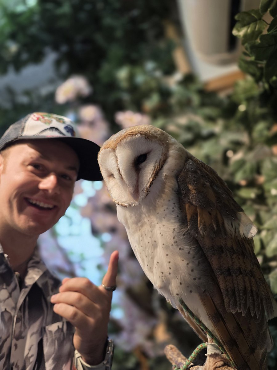 Doogs 𒉭 tweet media