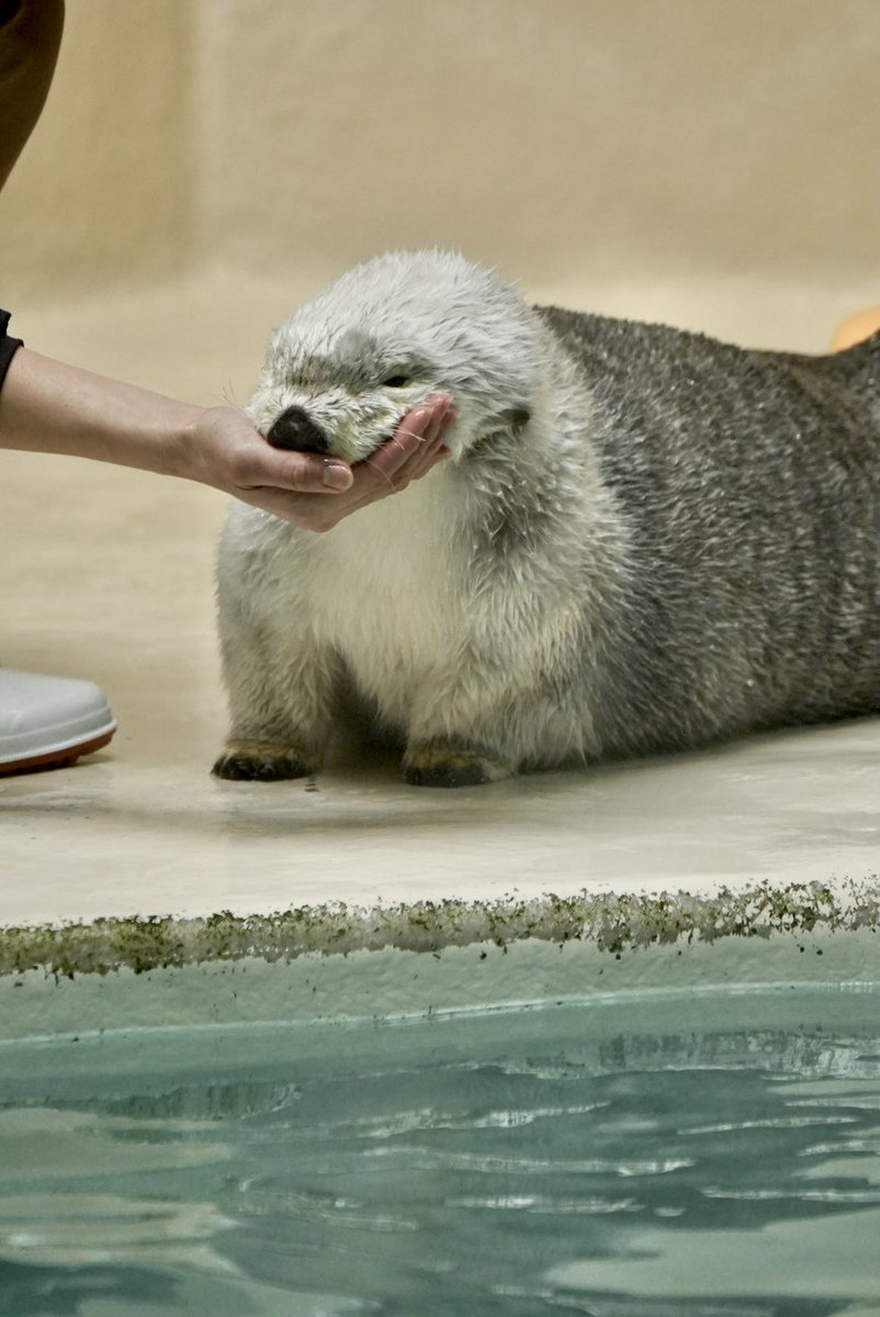 Masuda〜水族館巡り〜 tweet media