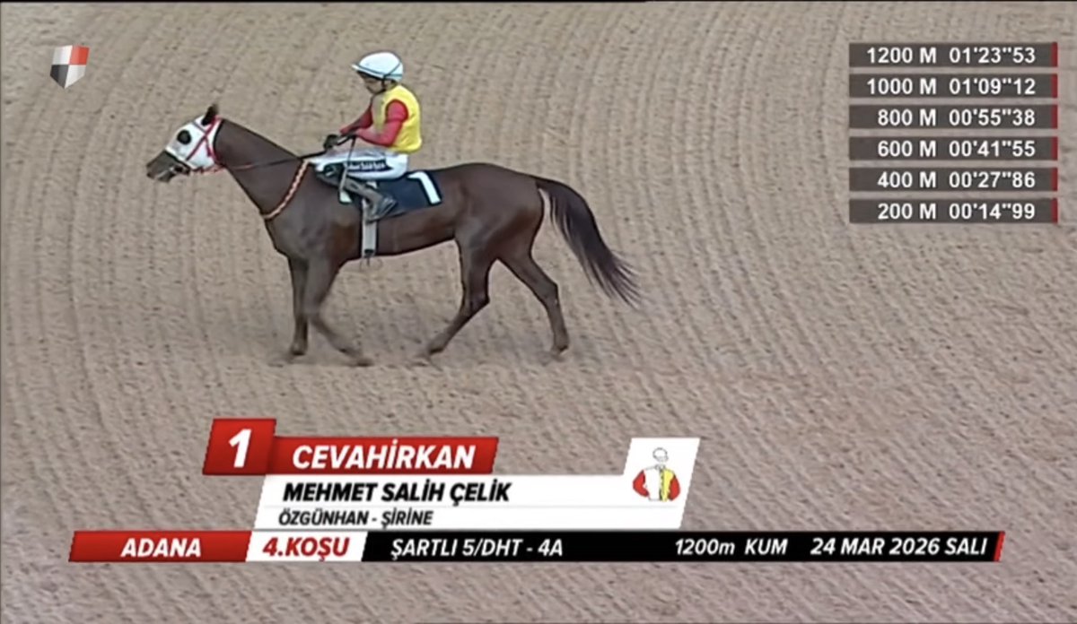 semih katı tweet media