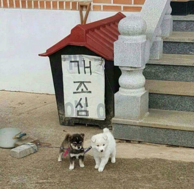 ꒰১툉໒꒱ tweet media