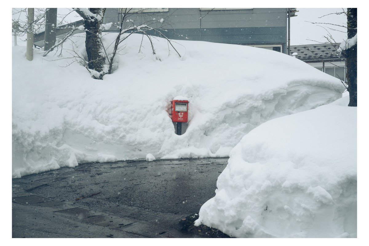 たっきー tweet media