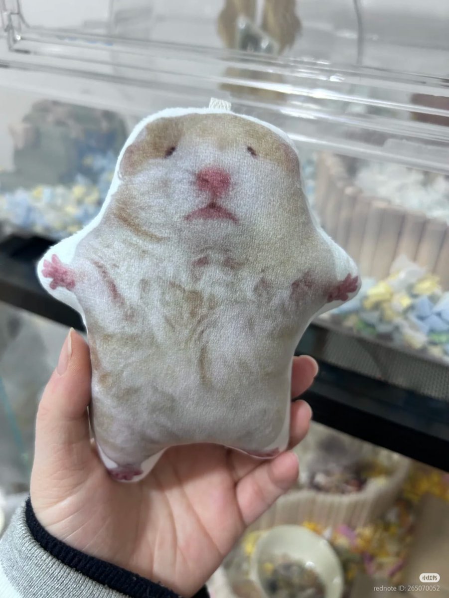 Tweets Of Hamster tweet media