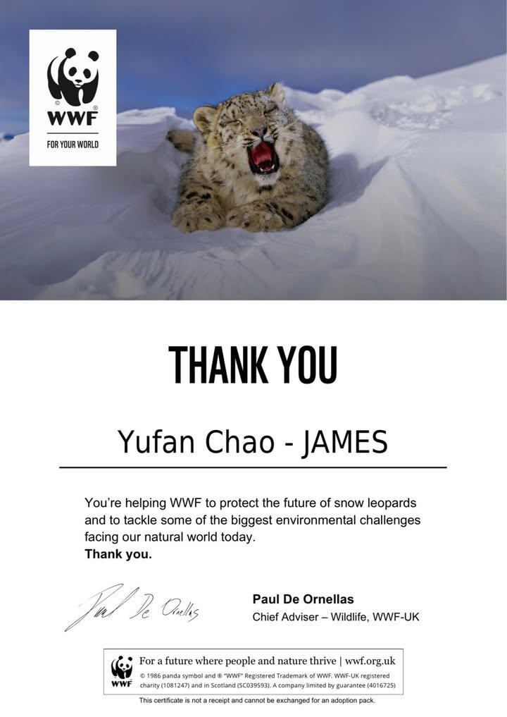 JAMES INDONESIA tweet media