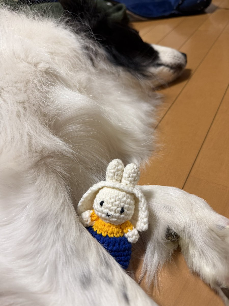 チョコスキー tweet media