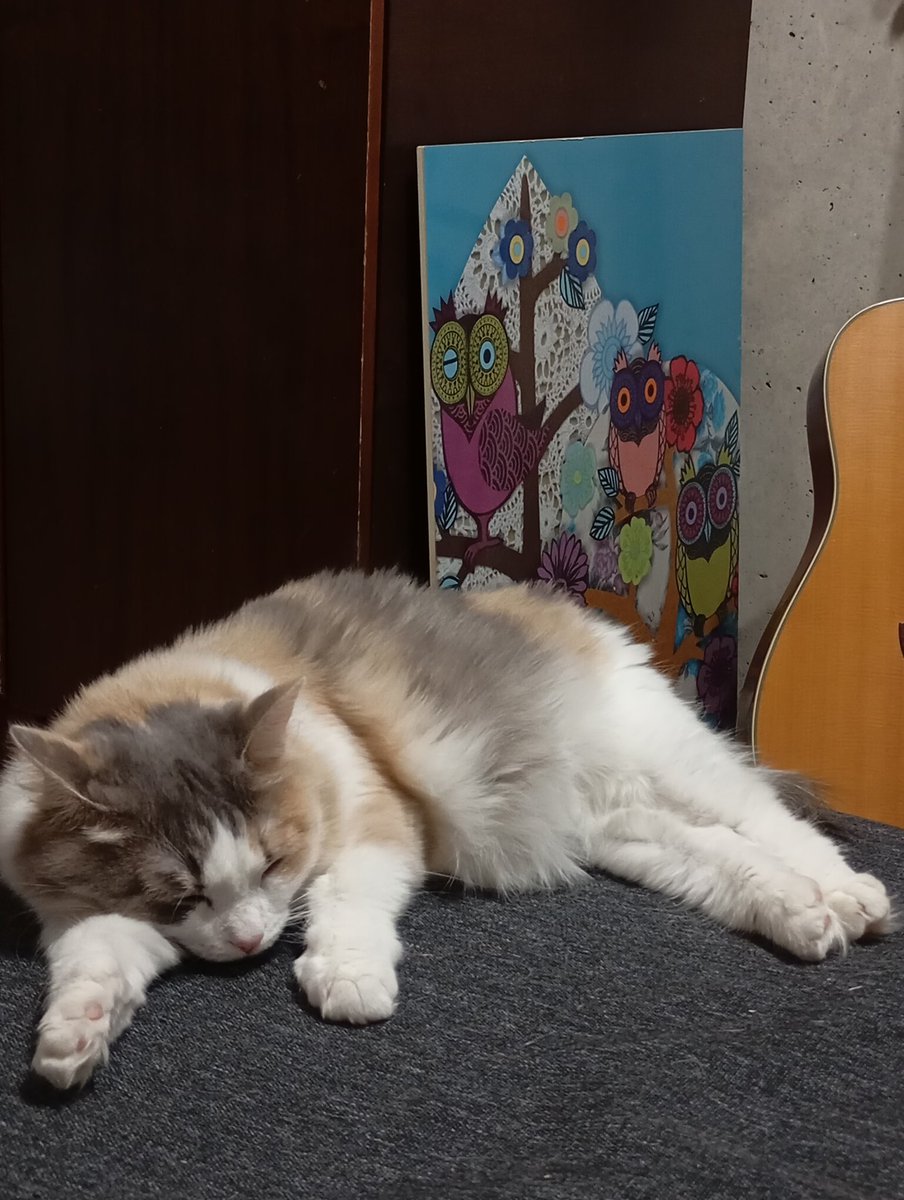 Mila Grifon tweet media