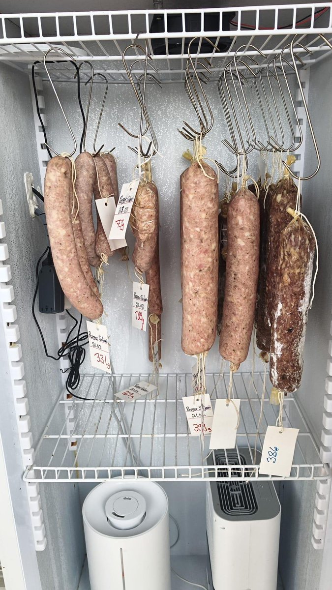 HilpoJuhana's tweet image. Side Project

Pepper Salami

The meat is pork leg, from which the largest membranes were removed so they wouldn’t clog the meat grinder. We prepared a 5 kg batch.
The mixture consisted of pork leg 70% and back fat 30%.
1/6
#salami #fermentation #homemade #meatcraft #charcuterie