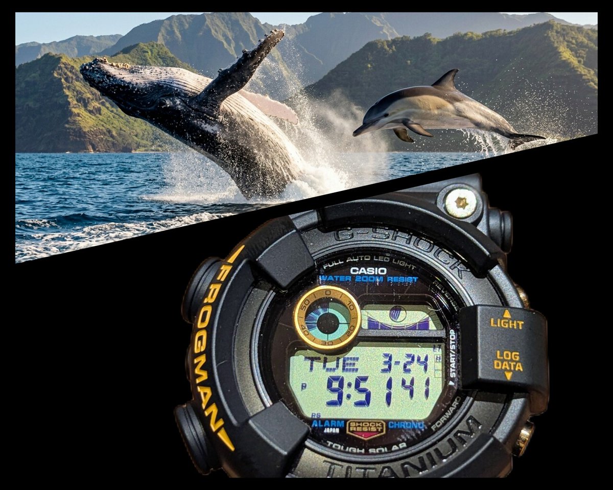 great G-SHOCK world tweet media