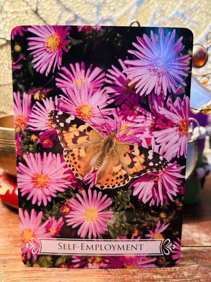 Celtic Fox Fortunes 🦊🦊🦊 tweet media