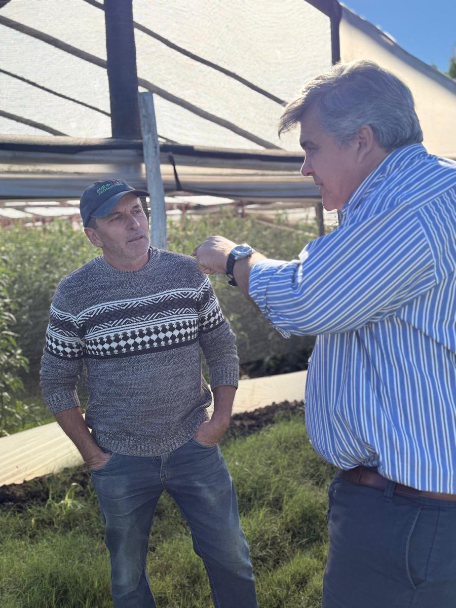 Carlos Daniel Camy tweet media