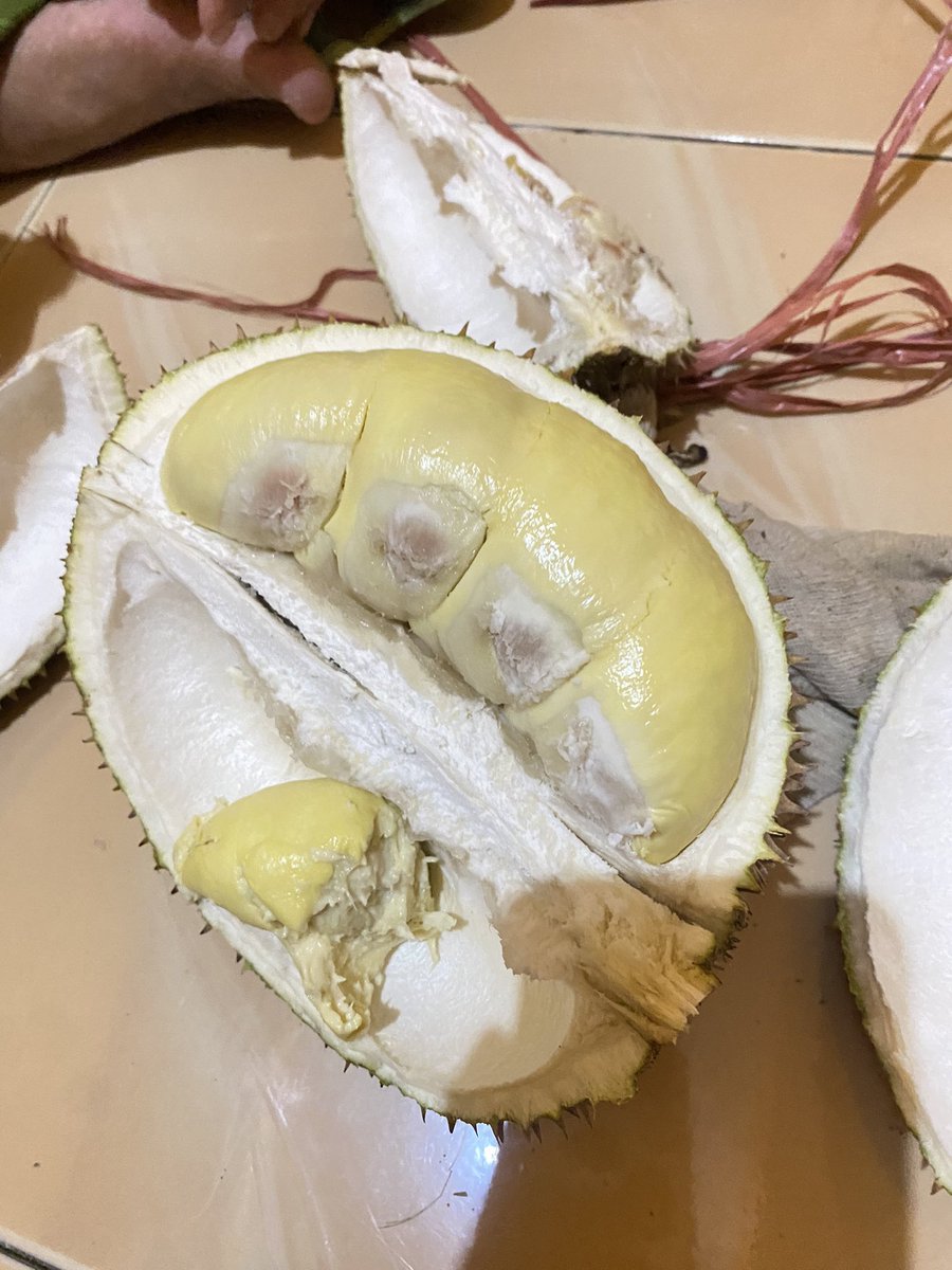 Dayana Mihu-Mihu🧚‍♀️💐 tweet media