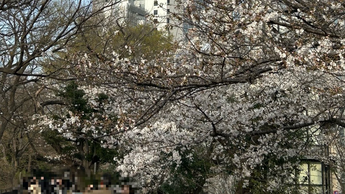 あにゅ tweet media