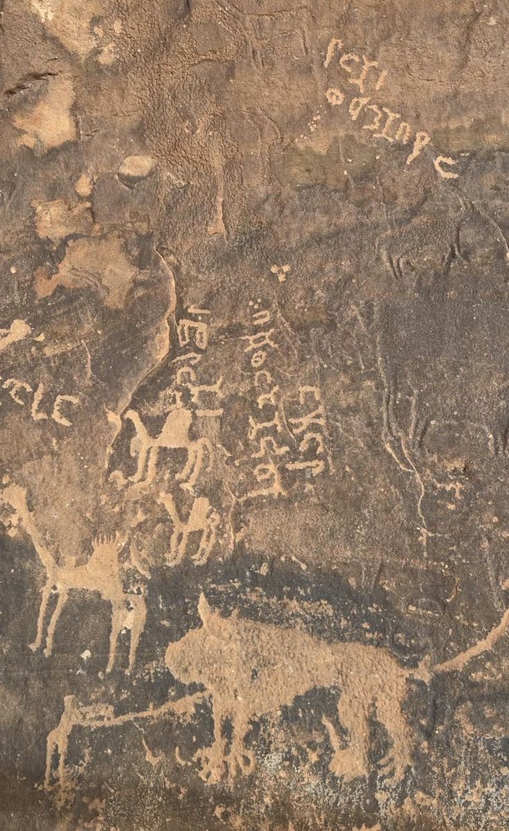 عمر درايف | سيارات tweet media