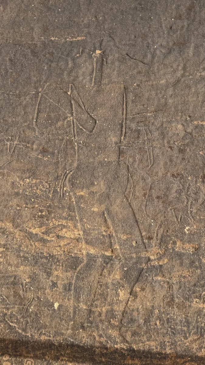 عمر درايف | سيارات tweet media