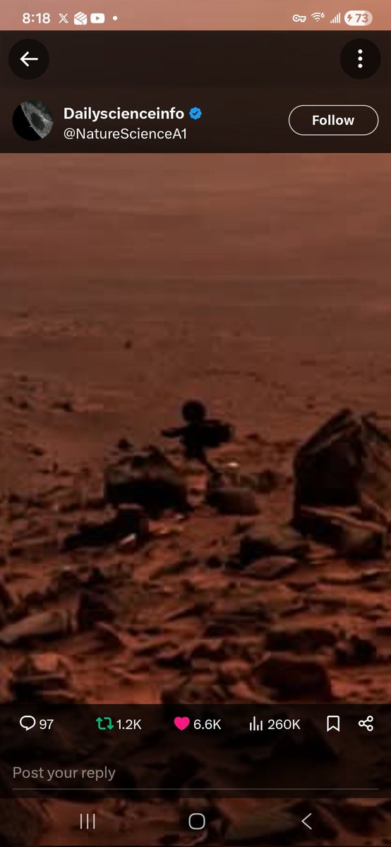 Rembrandt Blue tweet media