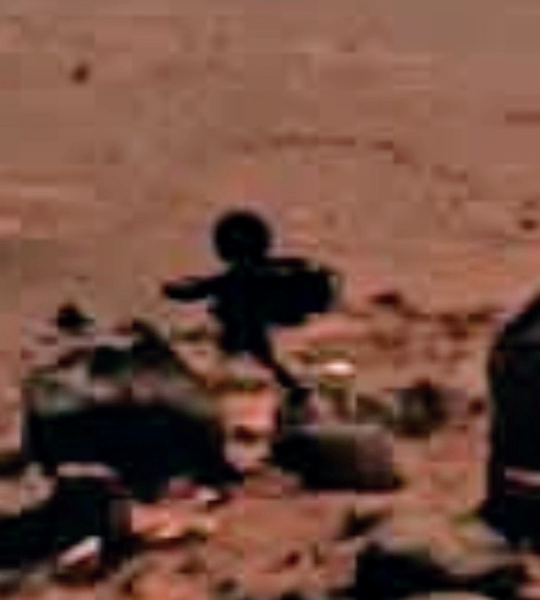 Rembrandt Blue tweet media