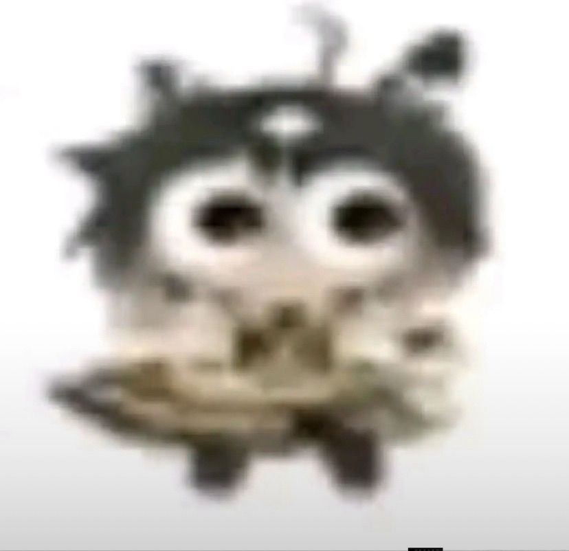 TokAnuar Teio 🇱🇻 #rasca tweet media