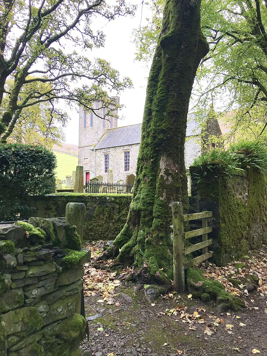 Alex DiPrima tweet media