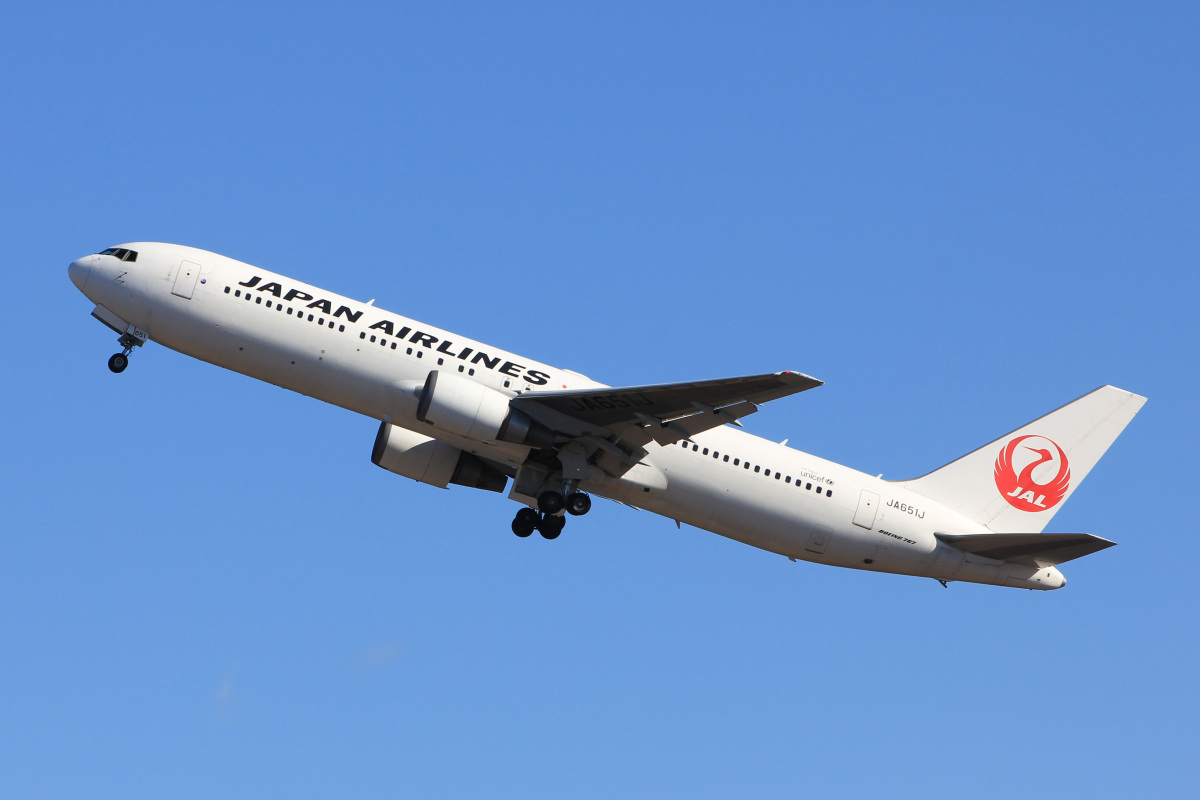 maohauhele tweet media