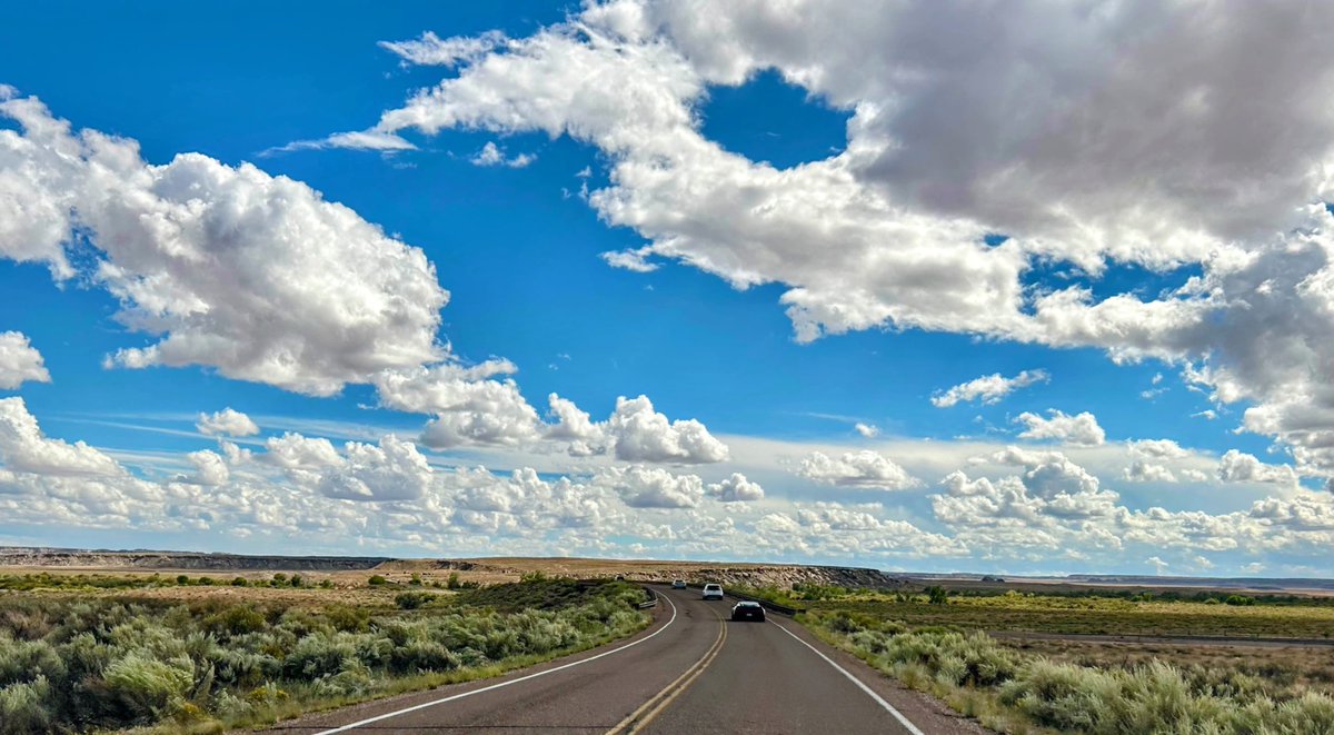 575 Haiku Poet tweet media