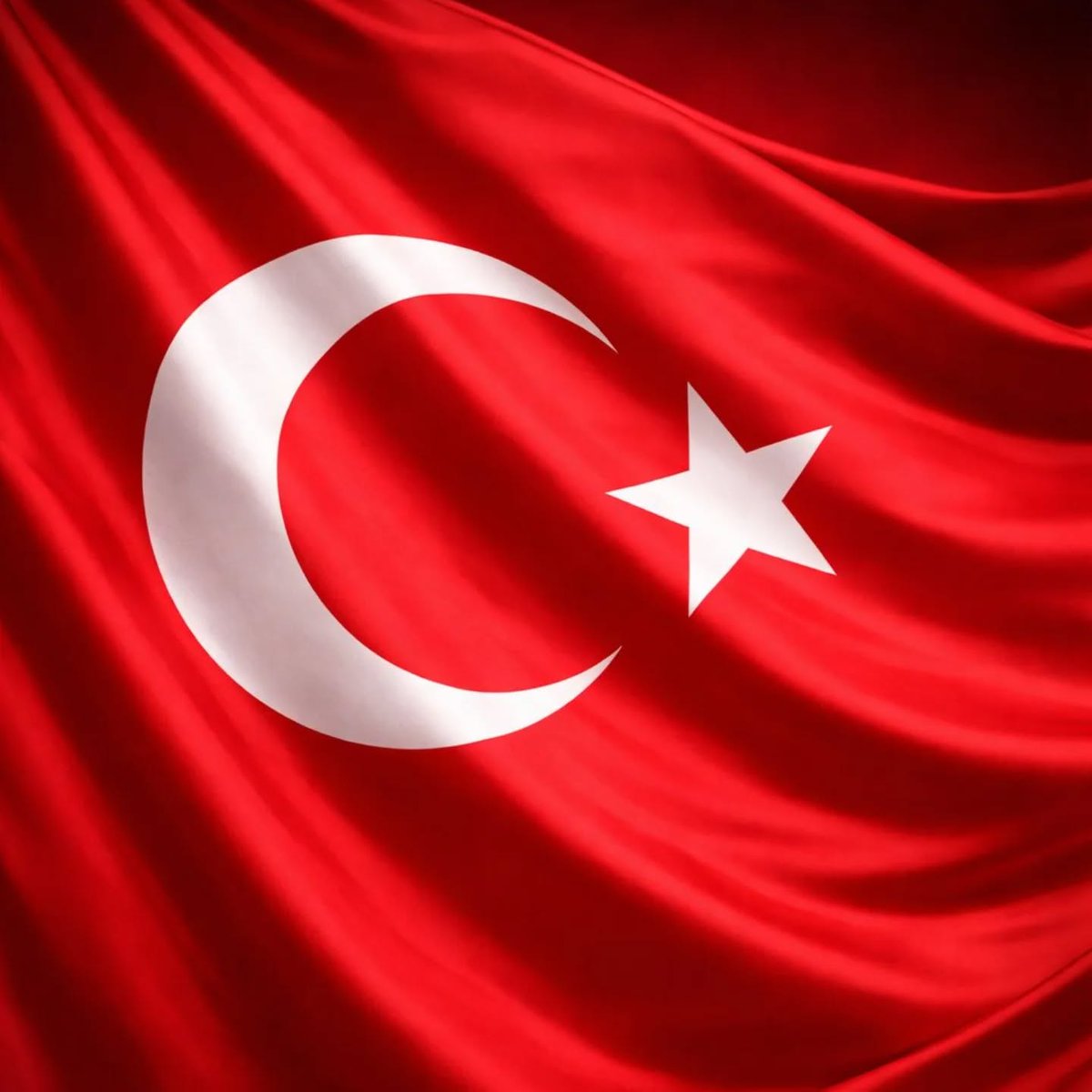 Sami Üstün tweet media