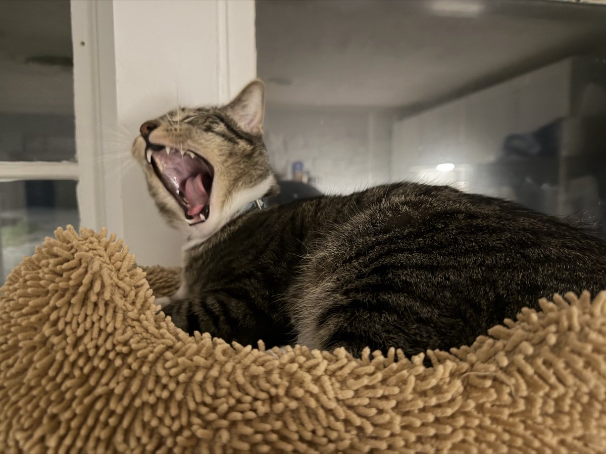 𝙰𝚋𝚋𝚢 tweet media