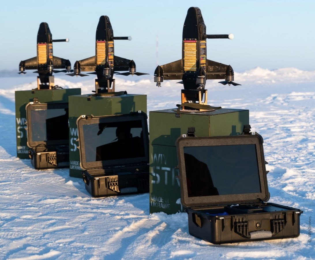 Елена tweet media