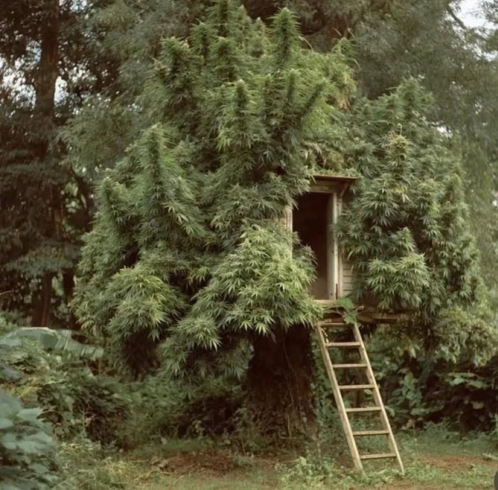 OCHE💔 tweet media