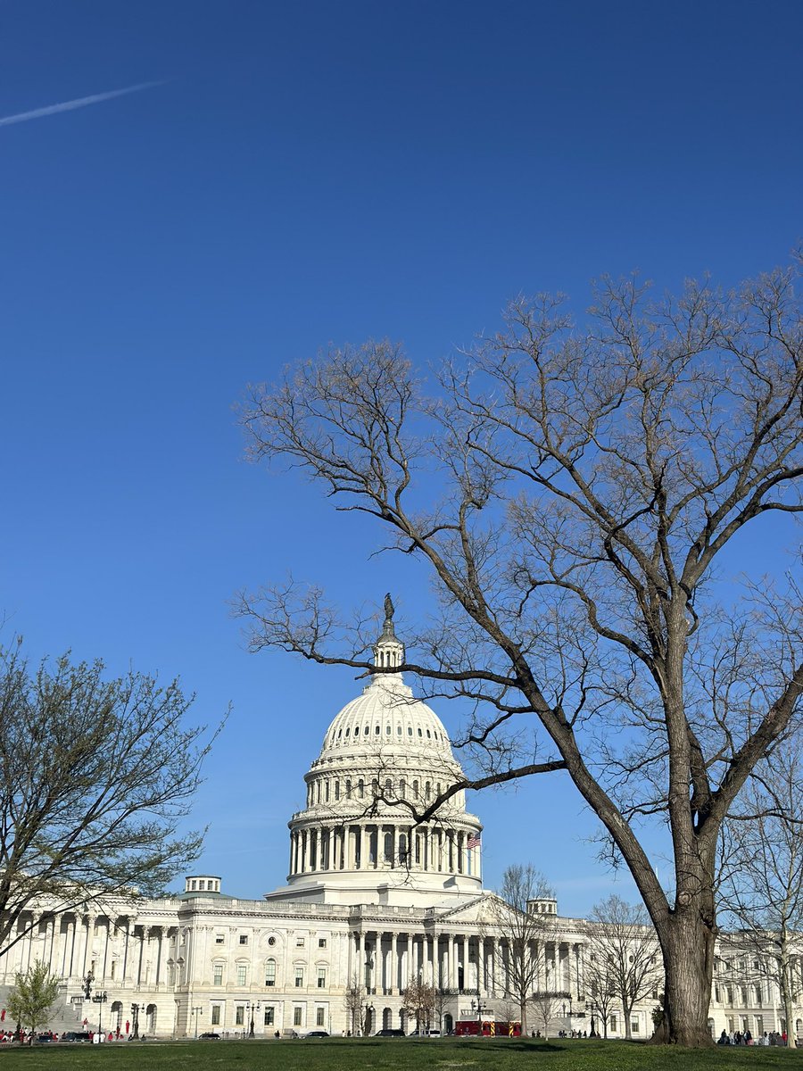 The Society of Thoracic Surgeons tweet media