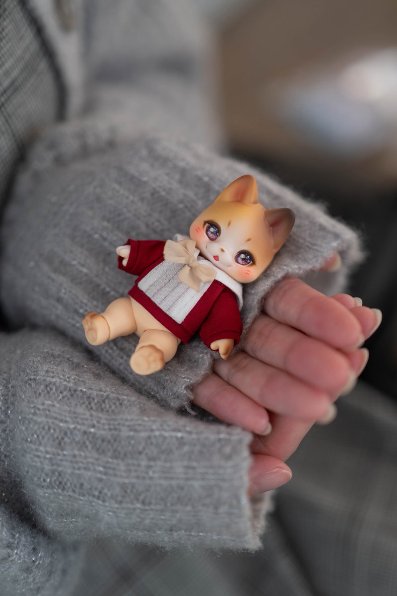hazune0119's tweet photo. ぬぬちゃんがお迎えしたネコチヤン🐈🧡
#kumukuku https://t.co/Qw1Gr4FUfx