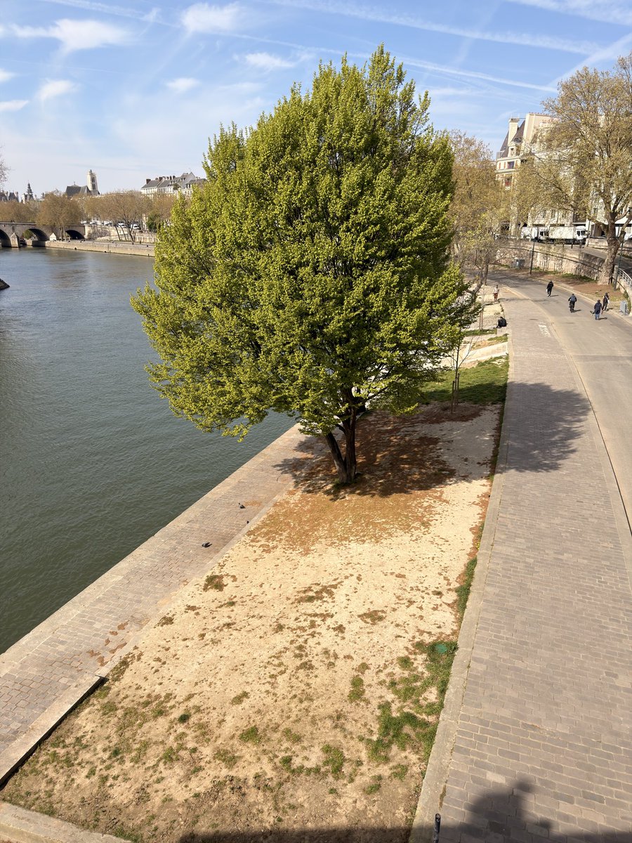 Baptiste Gianeselli 🇫🇷 🇪🇺 tweet media