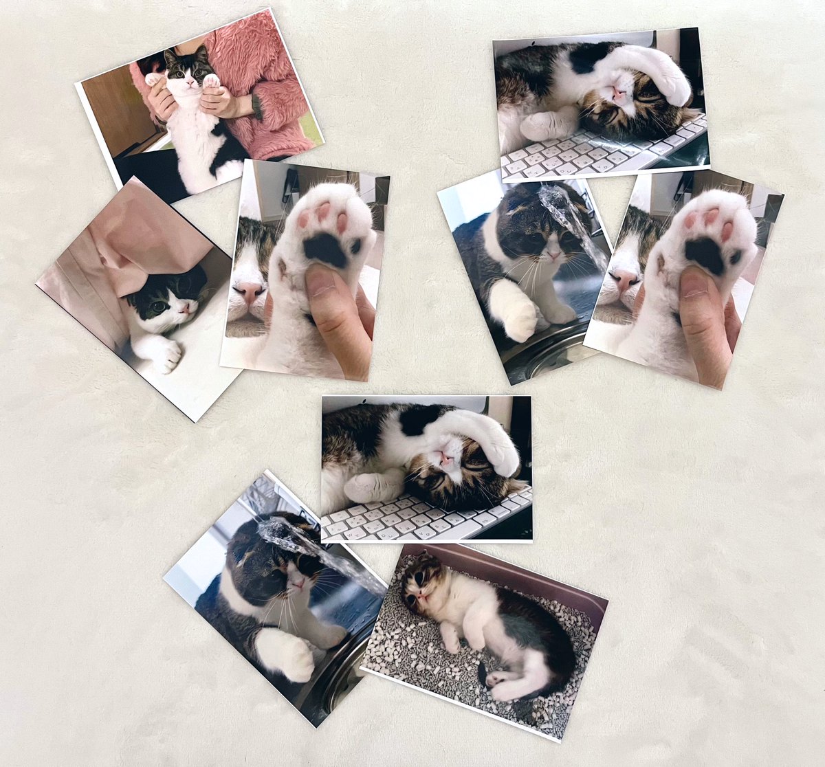 ᗰÏlᗰÏl tweet media