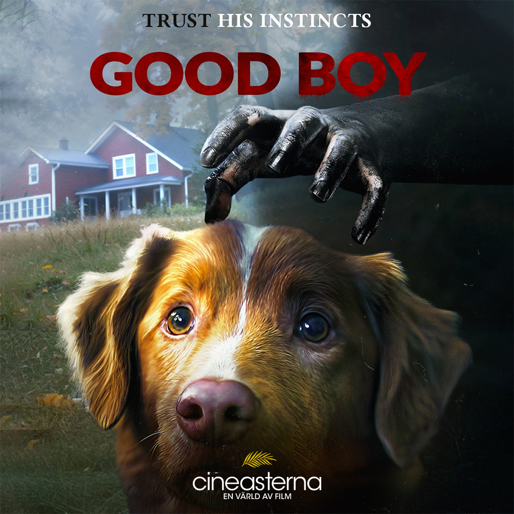 cineasterna's tweet image. En unik skräckfilm från regissören Ben Leonberg som berättas ur en hunds perspektiv. Man upplever skräcken genom hundens sinnen, där varje skugga och ljud blir hotfullt. Good Boy (2025) Nu på Cineasterna
#Bibliotek #Filmtips #Cineasterna