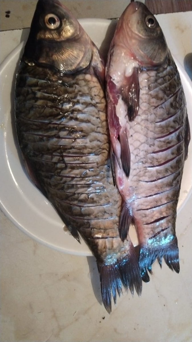 Джон Сильвер. tweet media