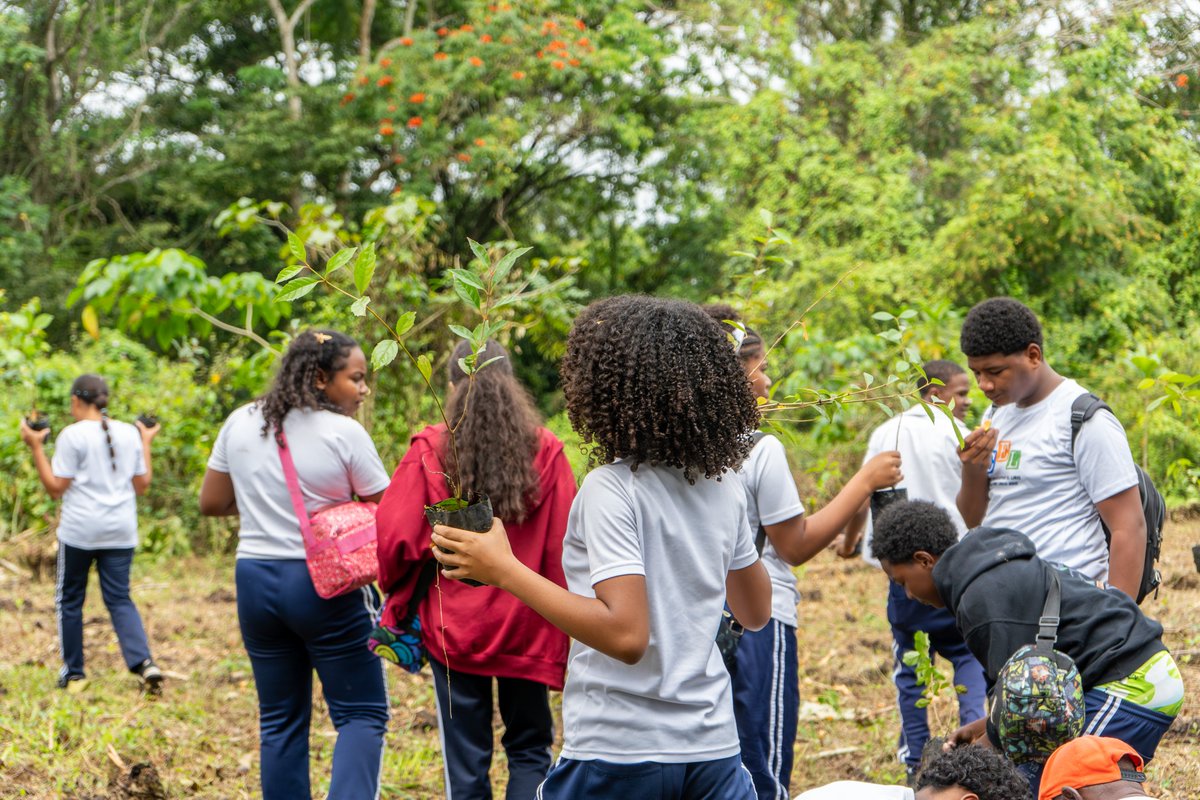 Ministerio de Medio Ambiente RD tweet media