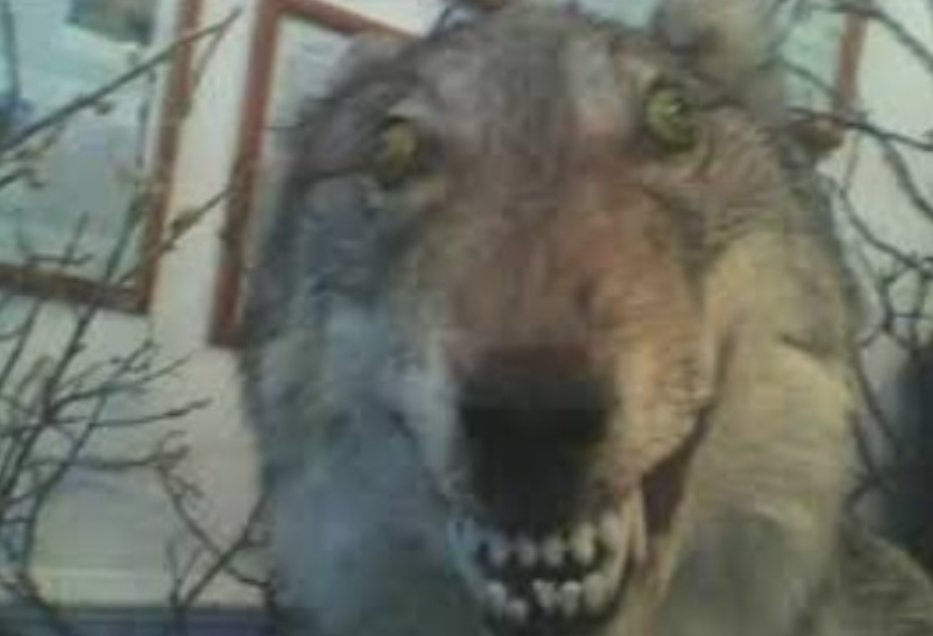 ★⭑GLO IS SEEING 5SOS LIVE⭑★ tweet media