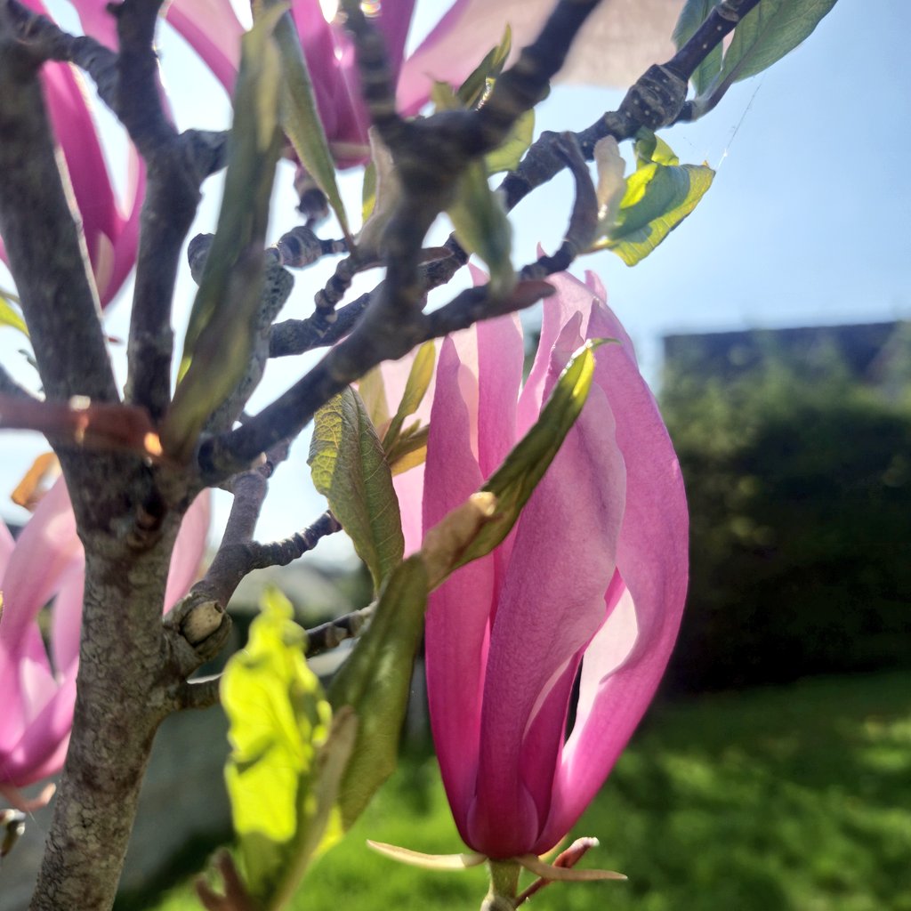 Nadia BENAMARA tweet media