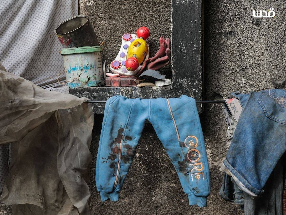 Shanna Messaoudi tweet media