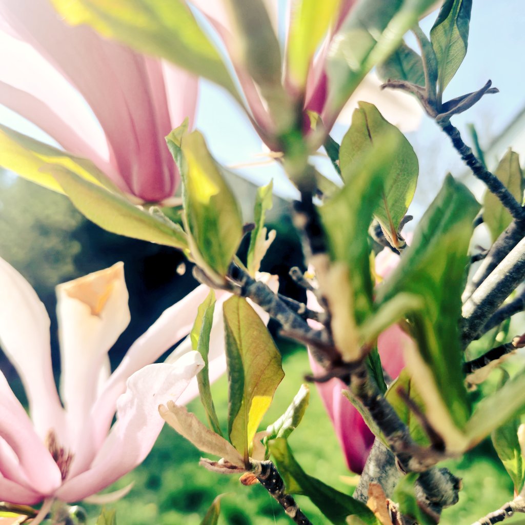 Nadia BENAMARA tweet media