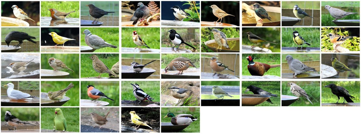 𝓡𝓮𝓿𝓭 𝓓𝓪𝓿𝓲𝓭 𝓐𝓽𝓴𝓲𝓷𝓼𝓸𝓷 tweet media